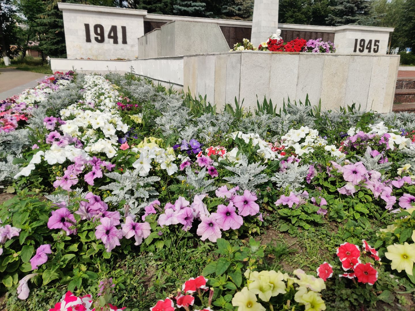 Красноармейск, Пушкинский, полив клумб, городские цветы, ЖКХ