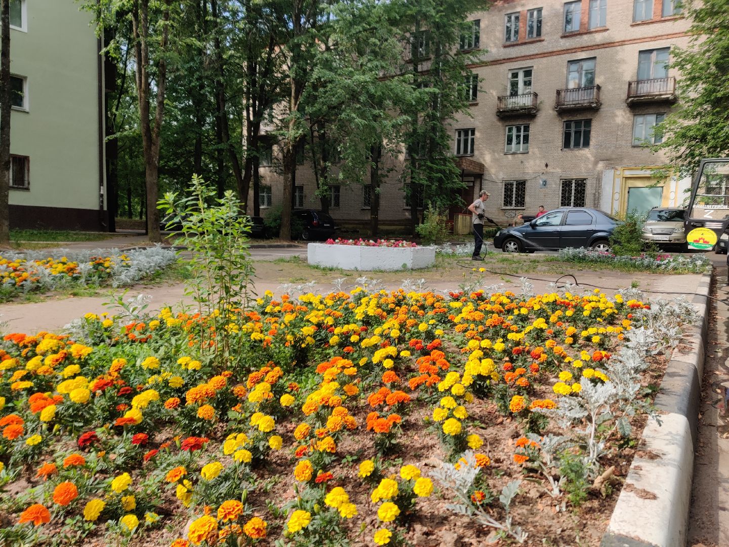 Красноармейск, Пушкинский, полив клумб, городские цветы, ЖКХ