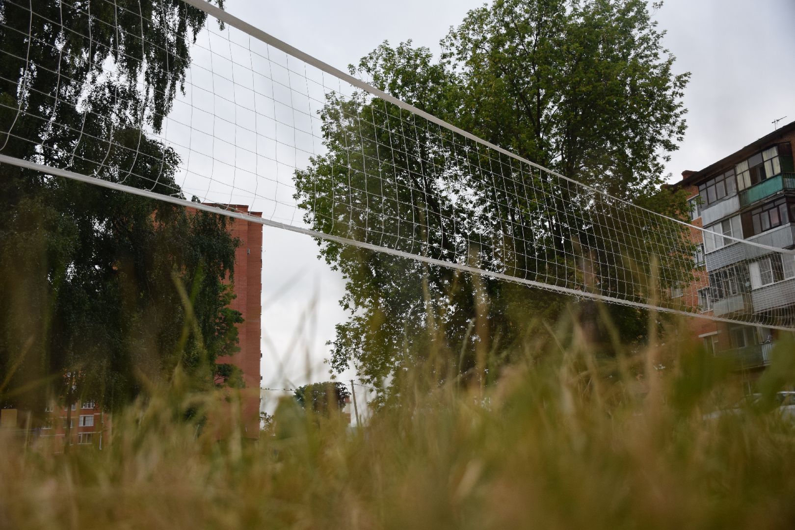 Павловский Посад, городской округ Павловский Посад, спорт, волейбол, площадка, сетка, дети, игра