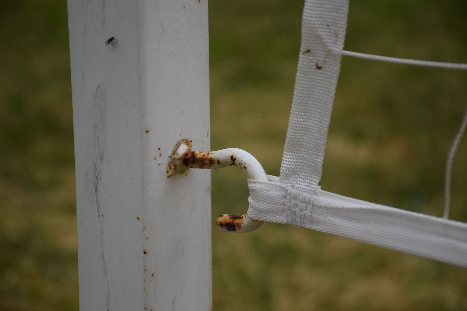 Павловский Посад, городской округ Павловский Посад, спорт, волейбол, площадка, сетка, дети, игра