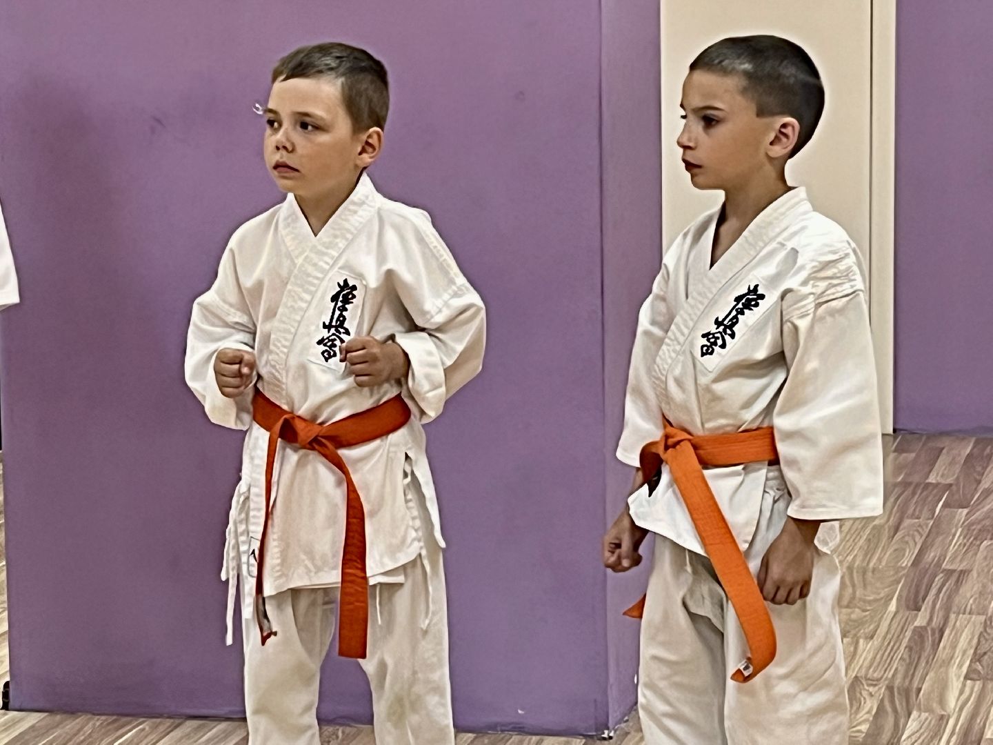 Наро-Фоминск, каратэ, киокушинкай, спорт Подмосковья, 10 кю, 4 дан, чёрный пояс