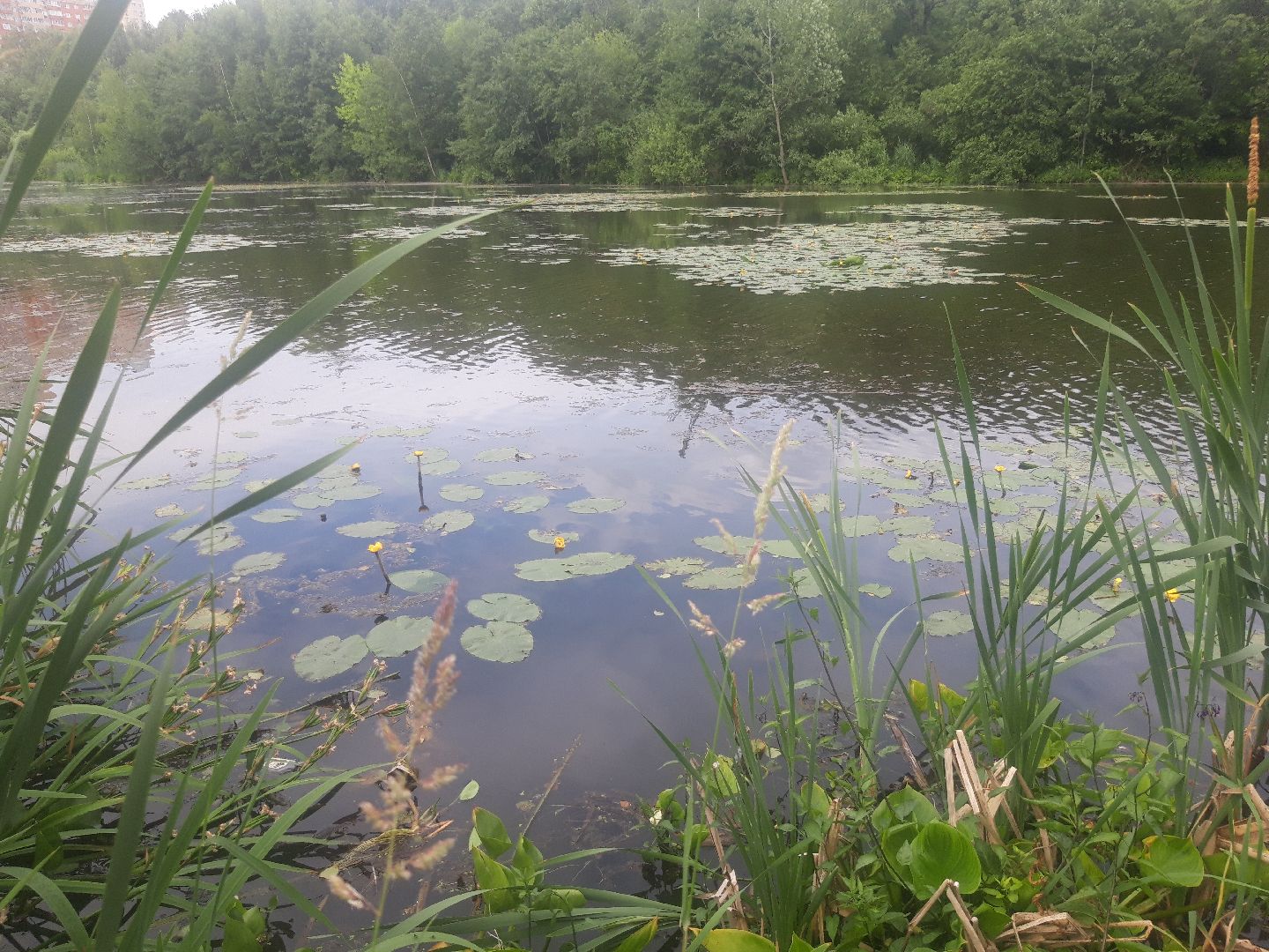 река, озеро,