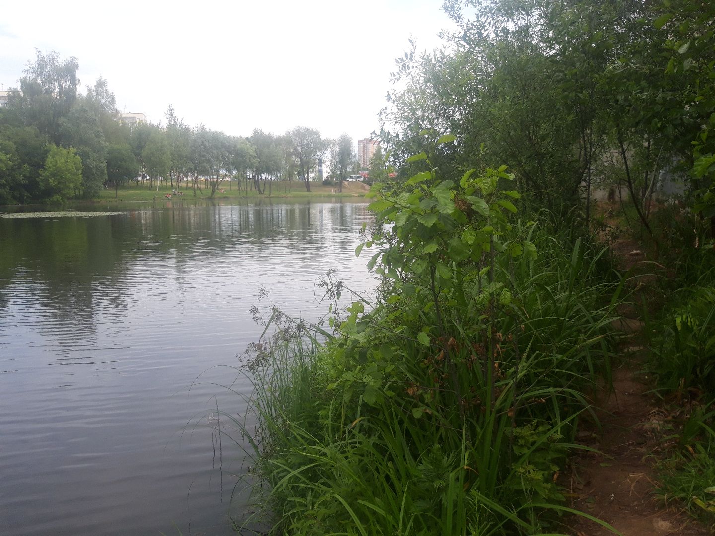 река, озеро,