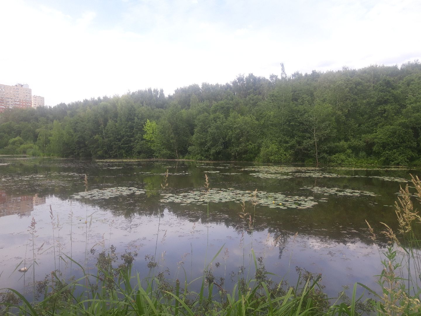 река, озеро,