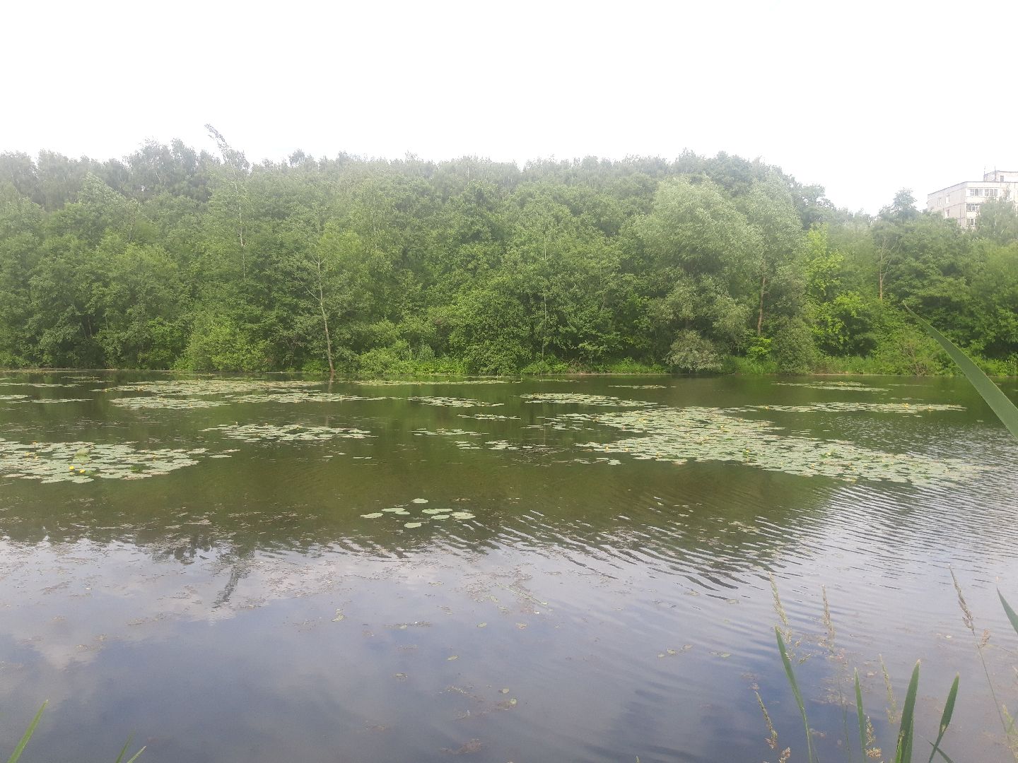 река, озеро,