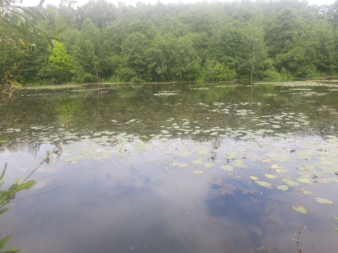 река, озеро,