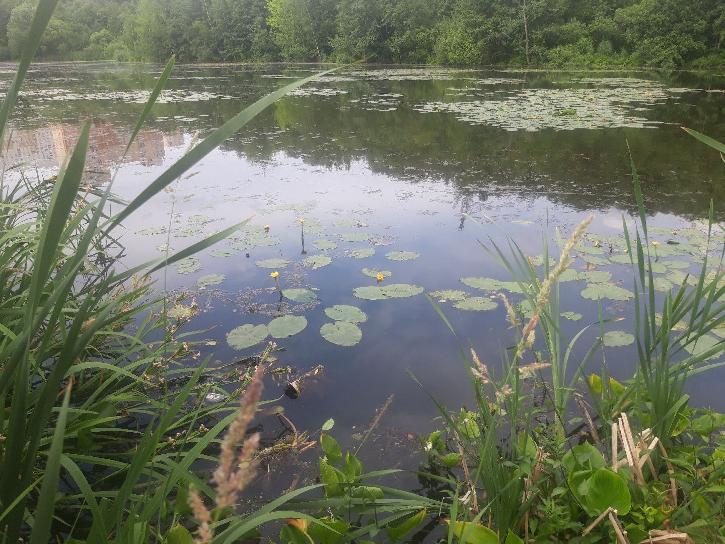 река, озеро,