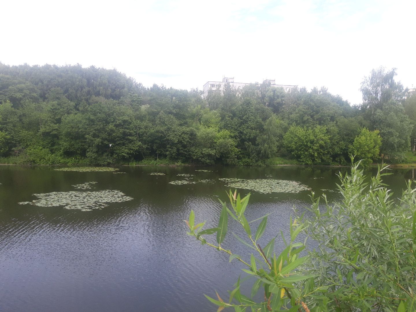 река, озеро,