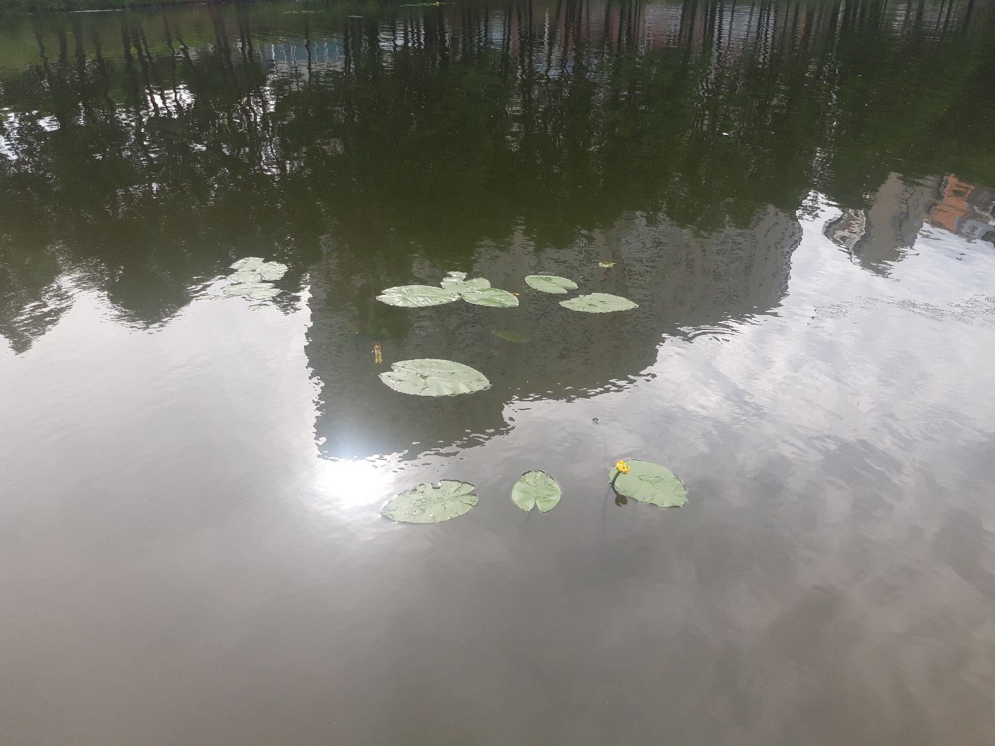 река, озеро,