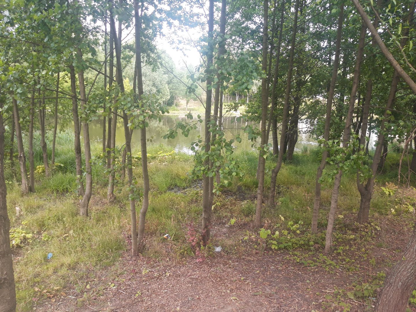 река, озеро,