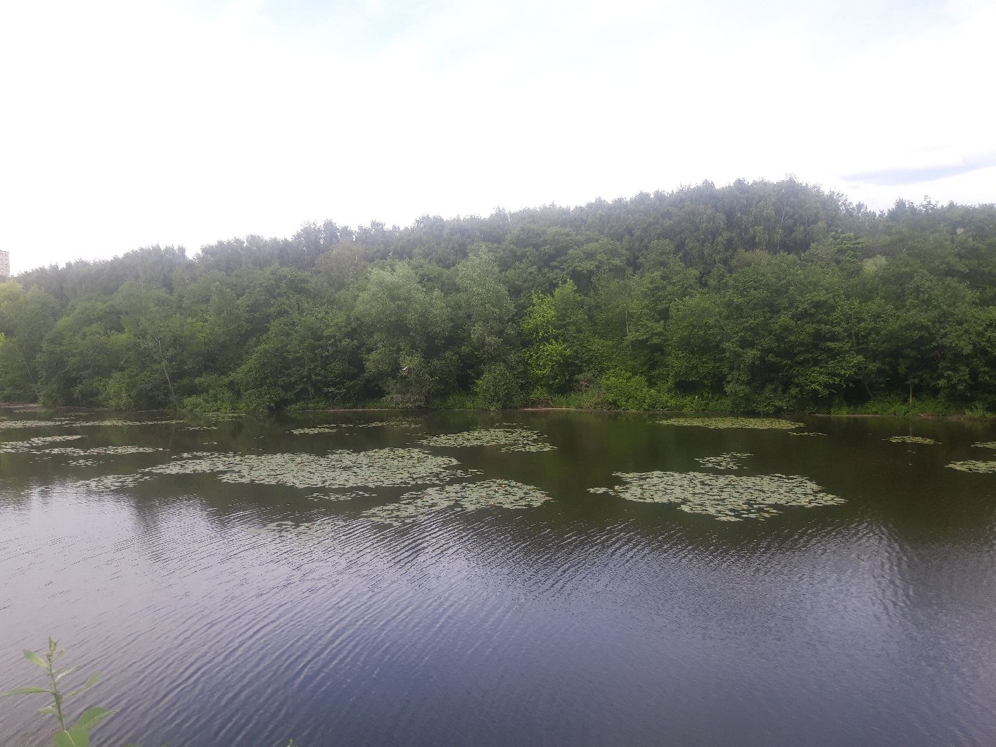 река, озеро,