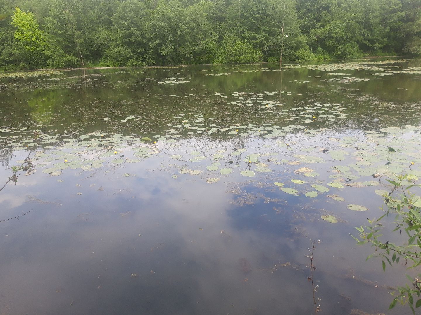 река, озеро,