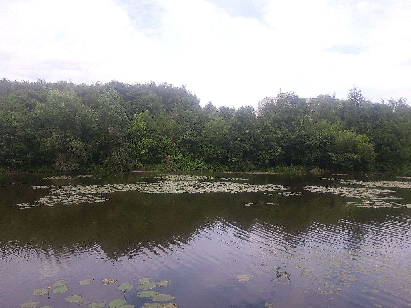 река, озеро,