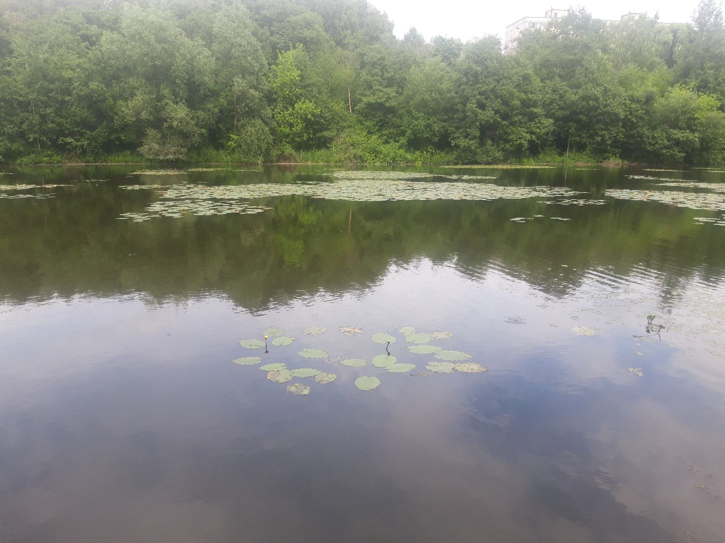 река, озеро,