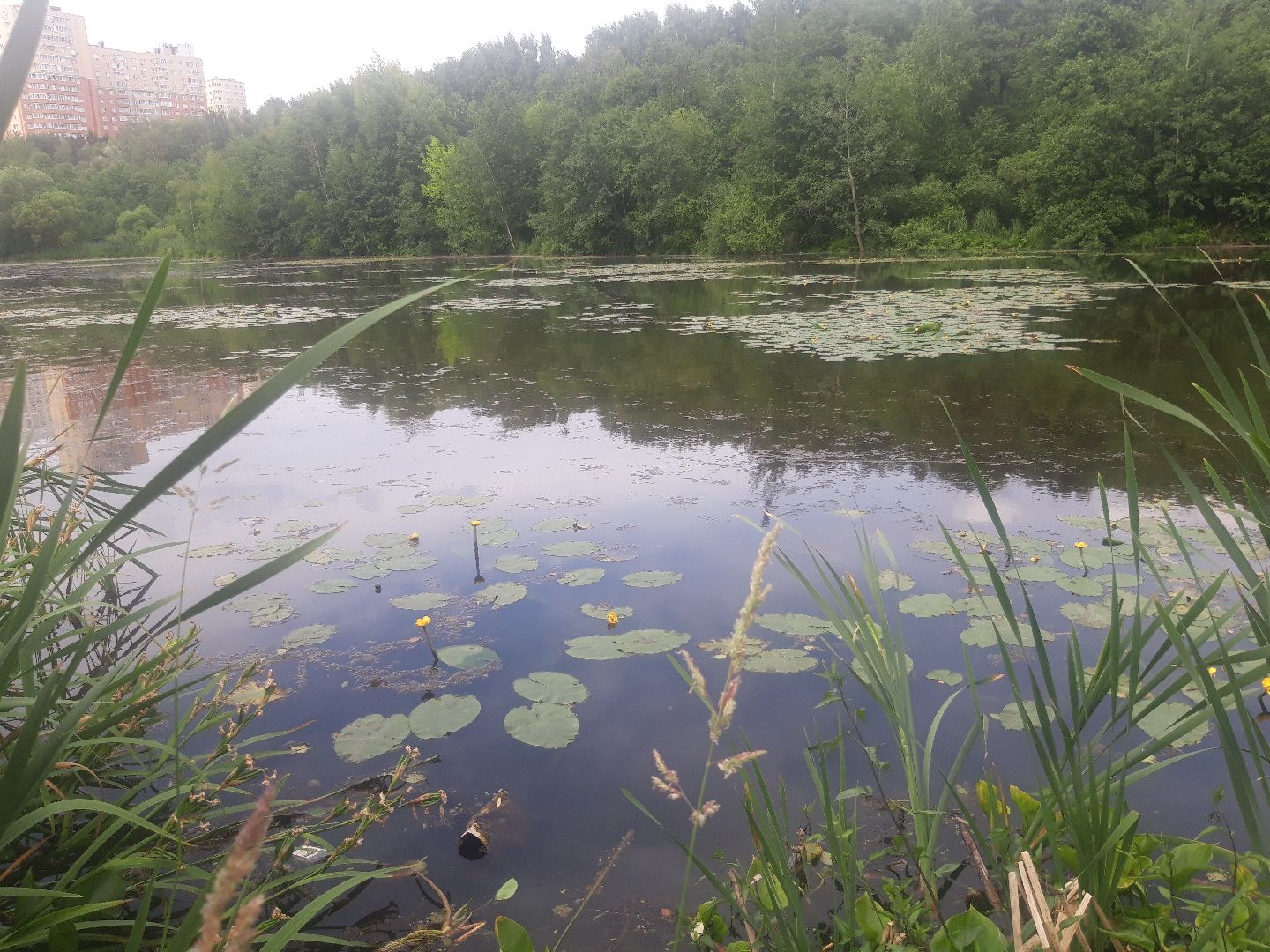 река, озеро,