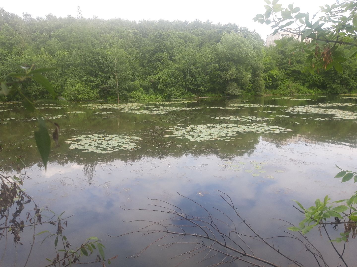 река, озеро,