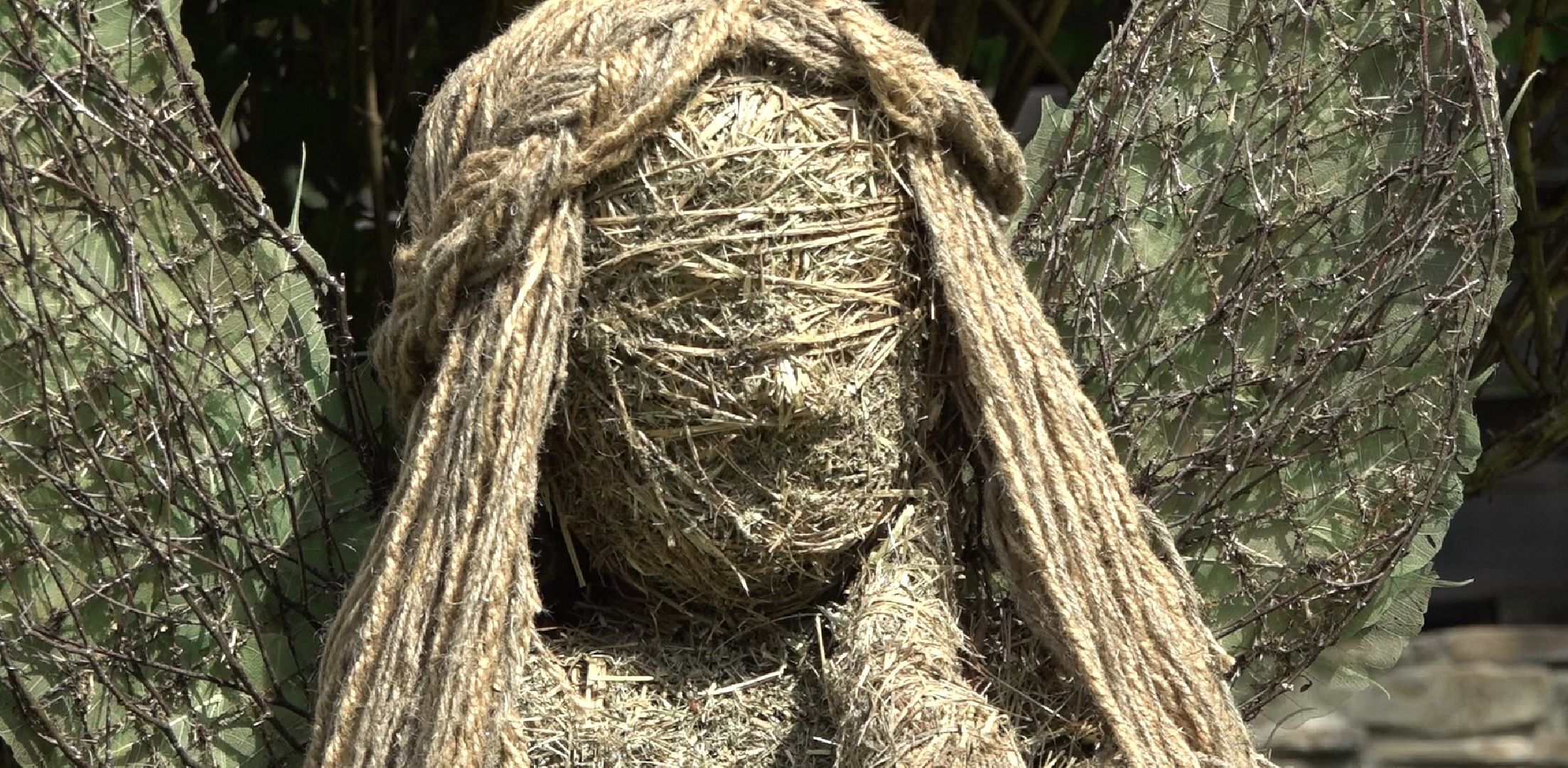 Конкурс цветочных салонов, Домодедово