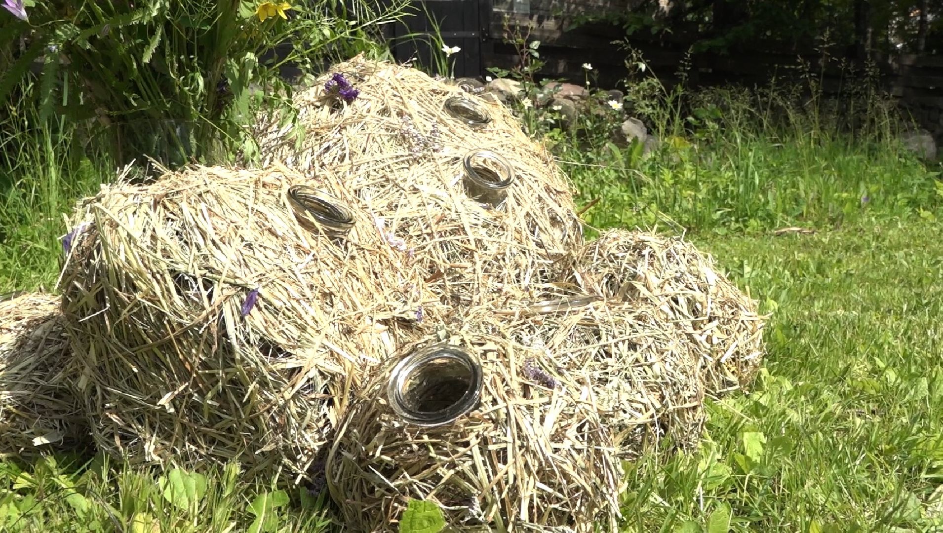 Конкурс цветочных салонов, Домодедово