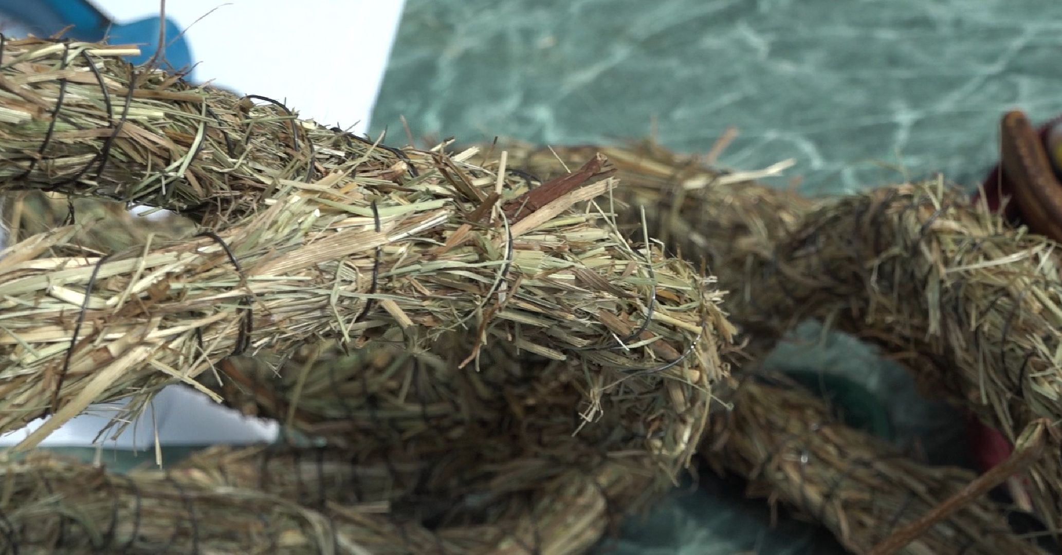 Конкурс цветочных салонов, Домодедово