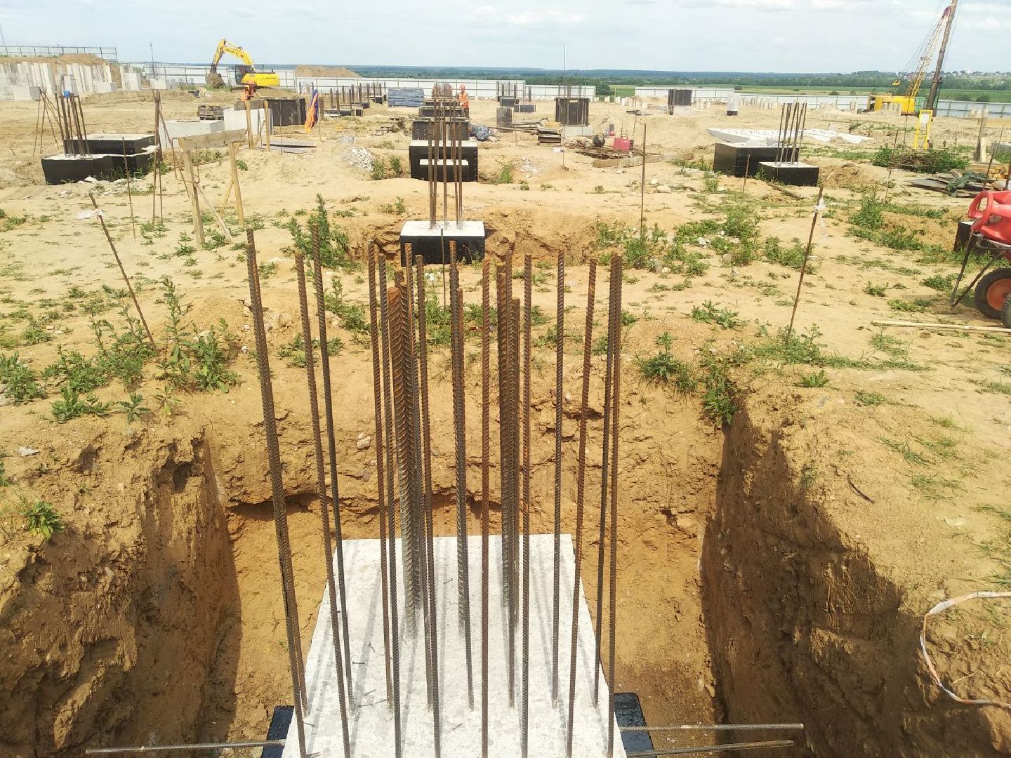 Дмитров, Сырная долина, Звезда Подмосковья, Минсельхоз МО