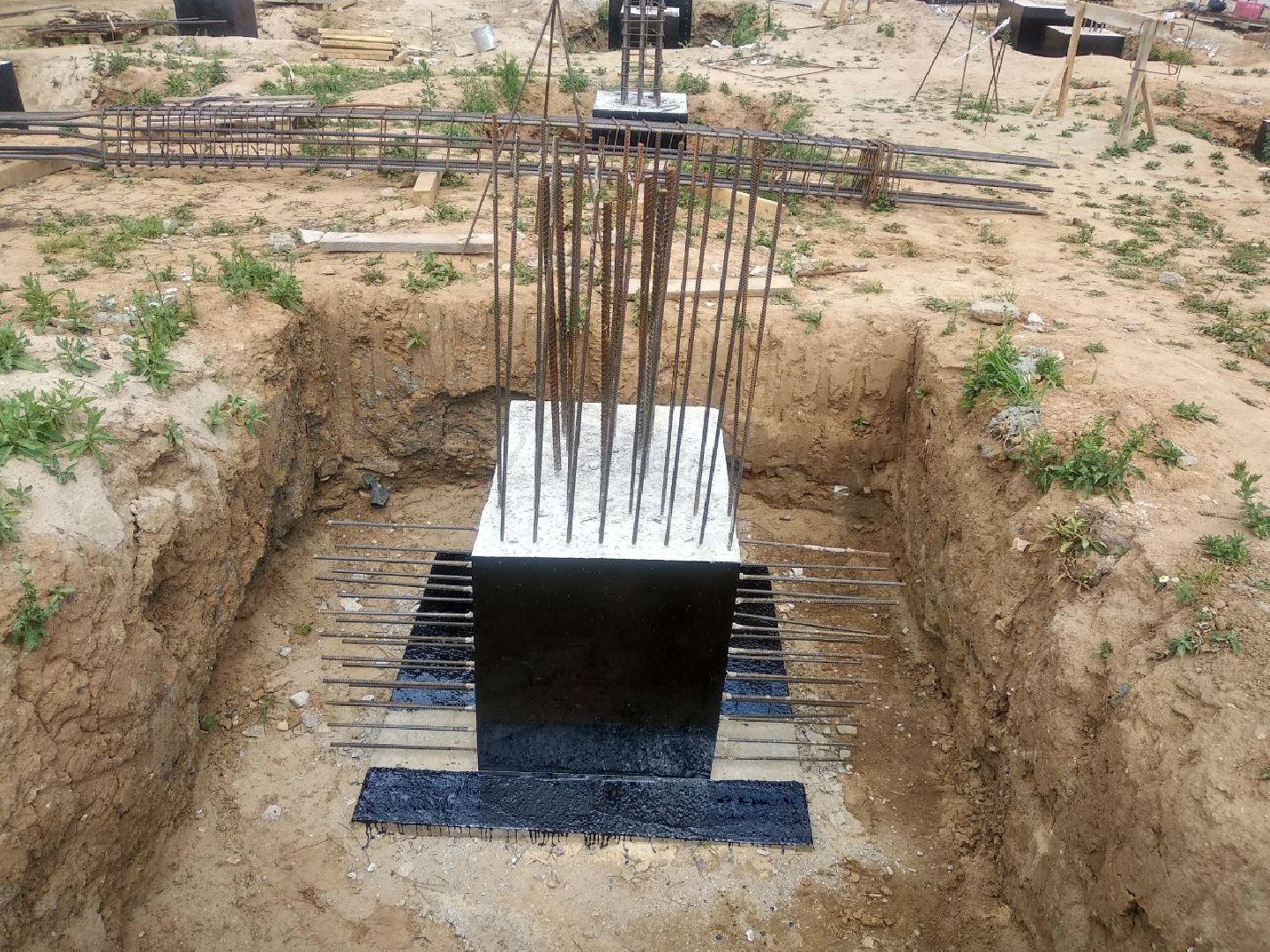 Дмитров, Сырная долина, Звезда Подмосковья, Минсельхоз МО