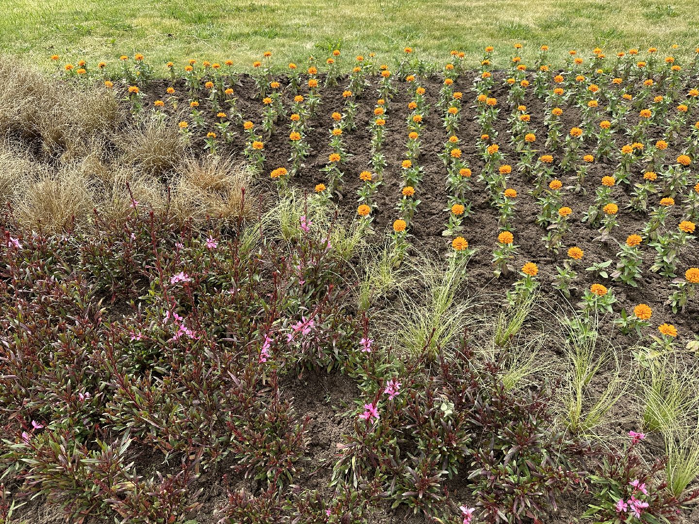 Клин, благоустройство, перемены, цветы, общество