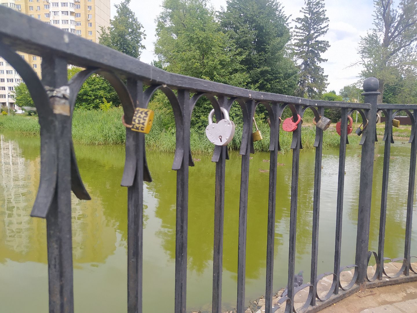 Дедовск, пруд, место притяжёния