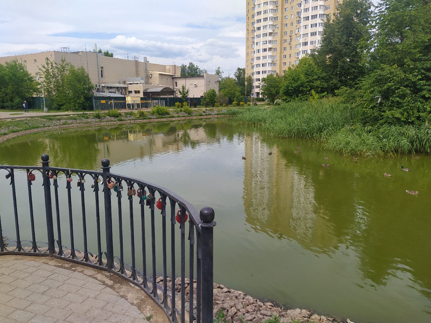 Дедовск, пруд, место притяжёния