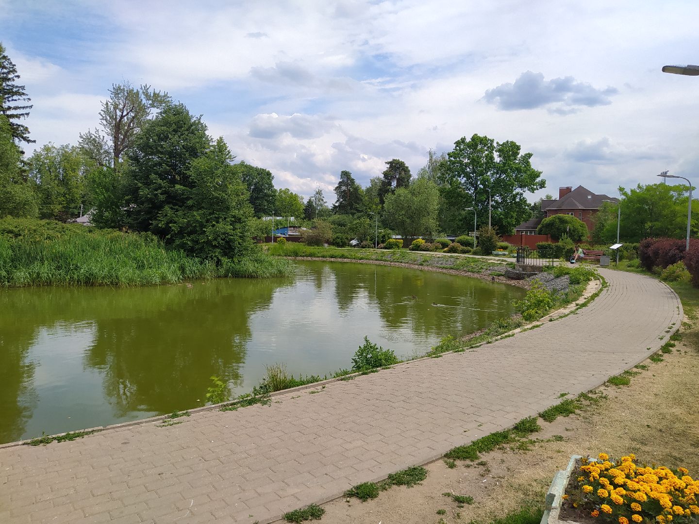 Дедовск, пруд, место притяжёния