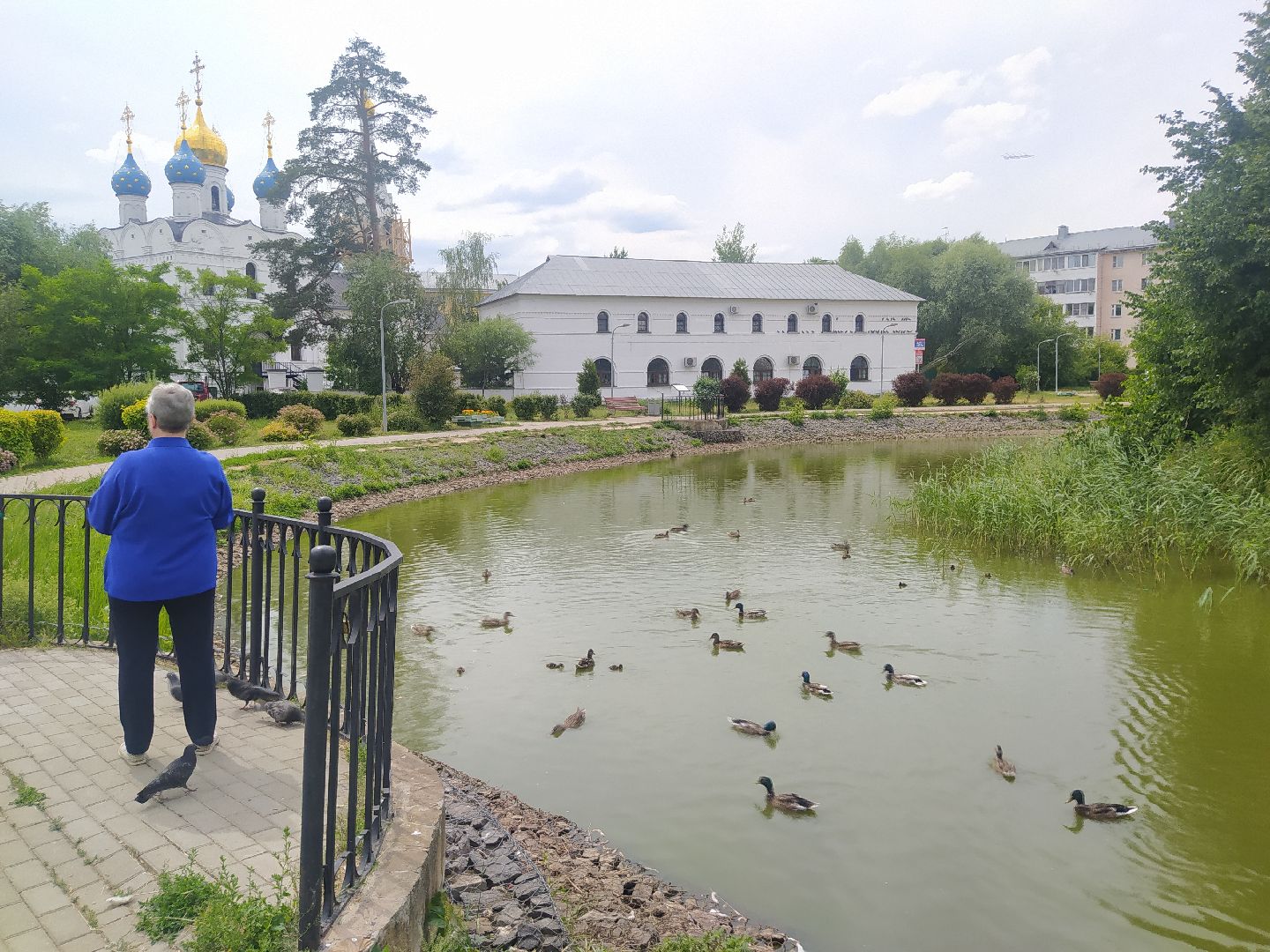 Дедовск, пруд, место притяжёния
