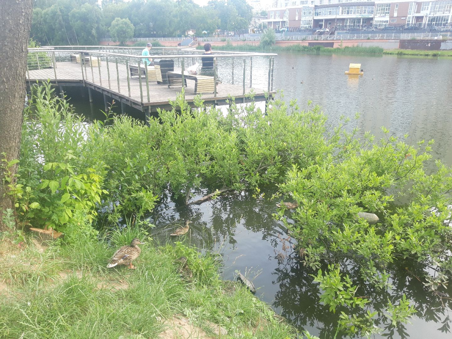 река, доброе дело,