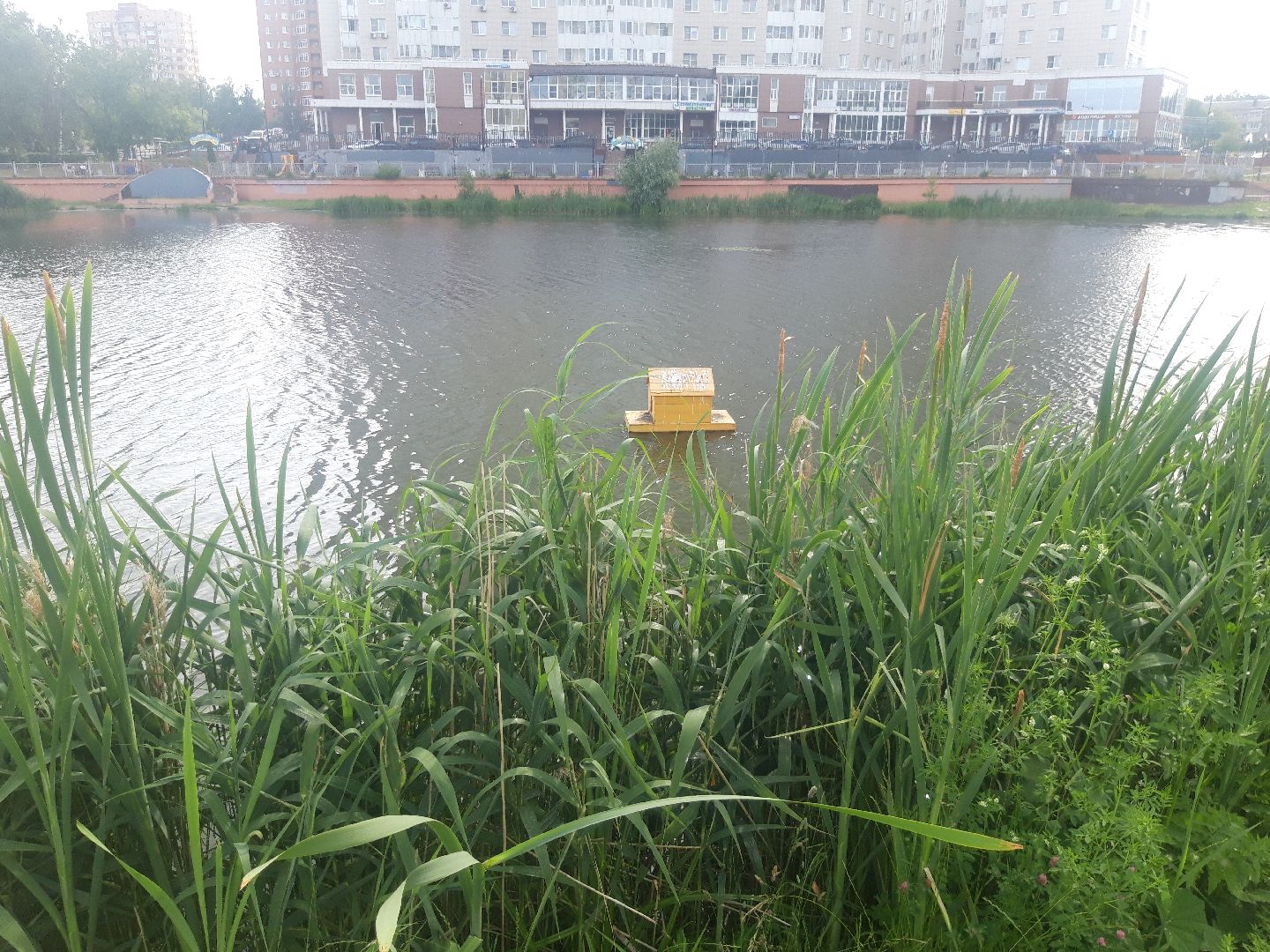 река, доброе дело,