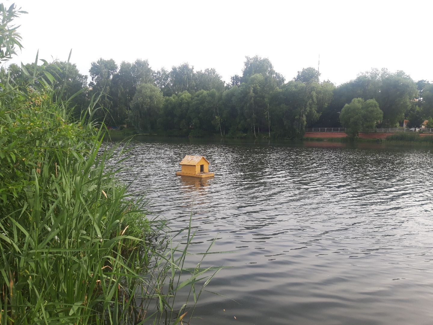 река, доброе дело,