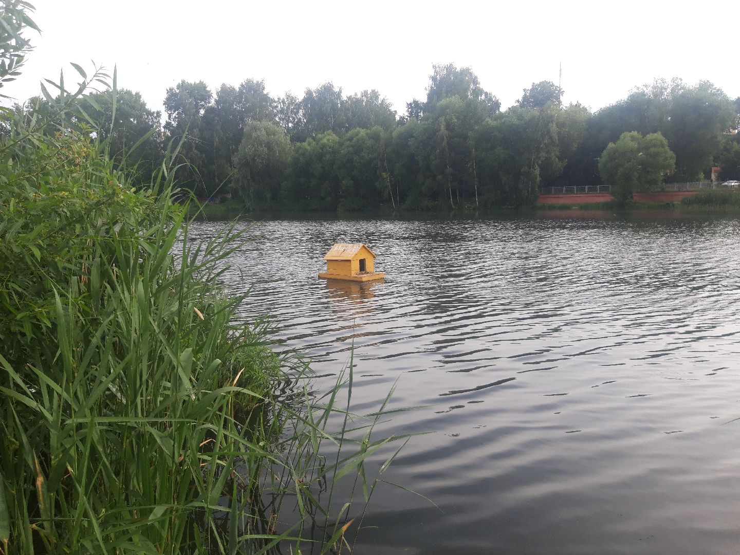 река, доброе дело,