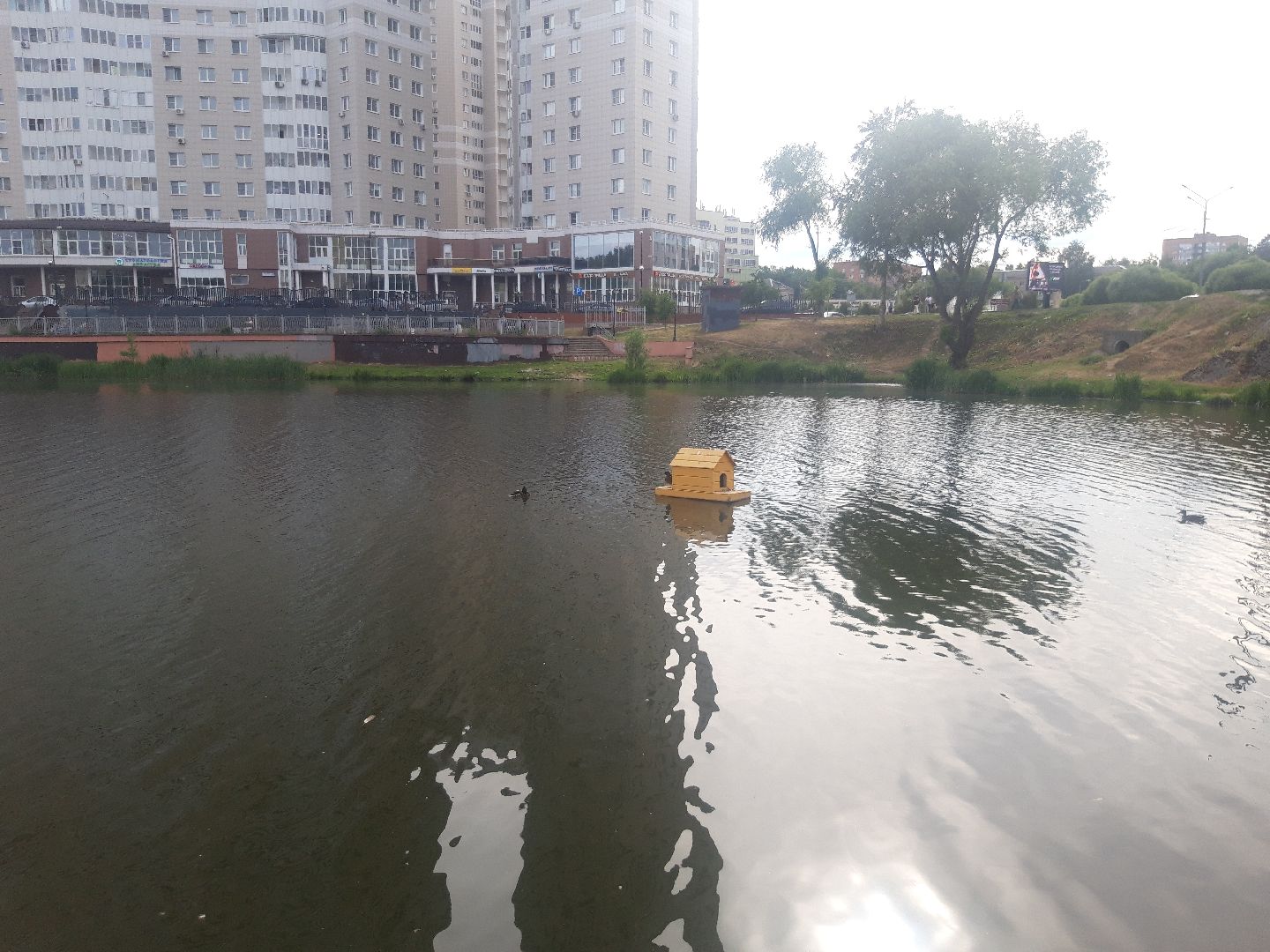 река, доброе дело,