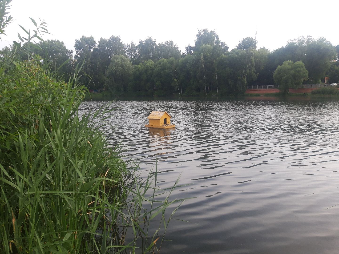 река, доброе дело,