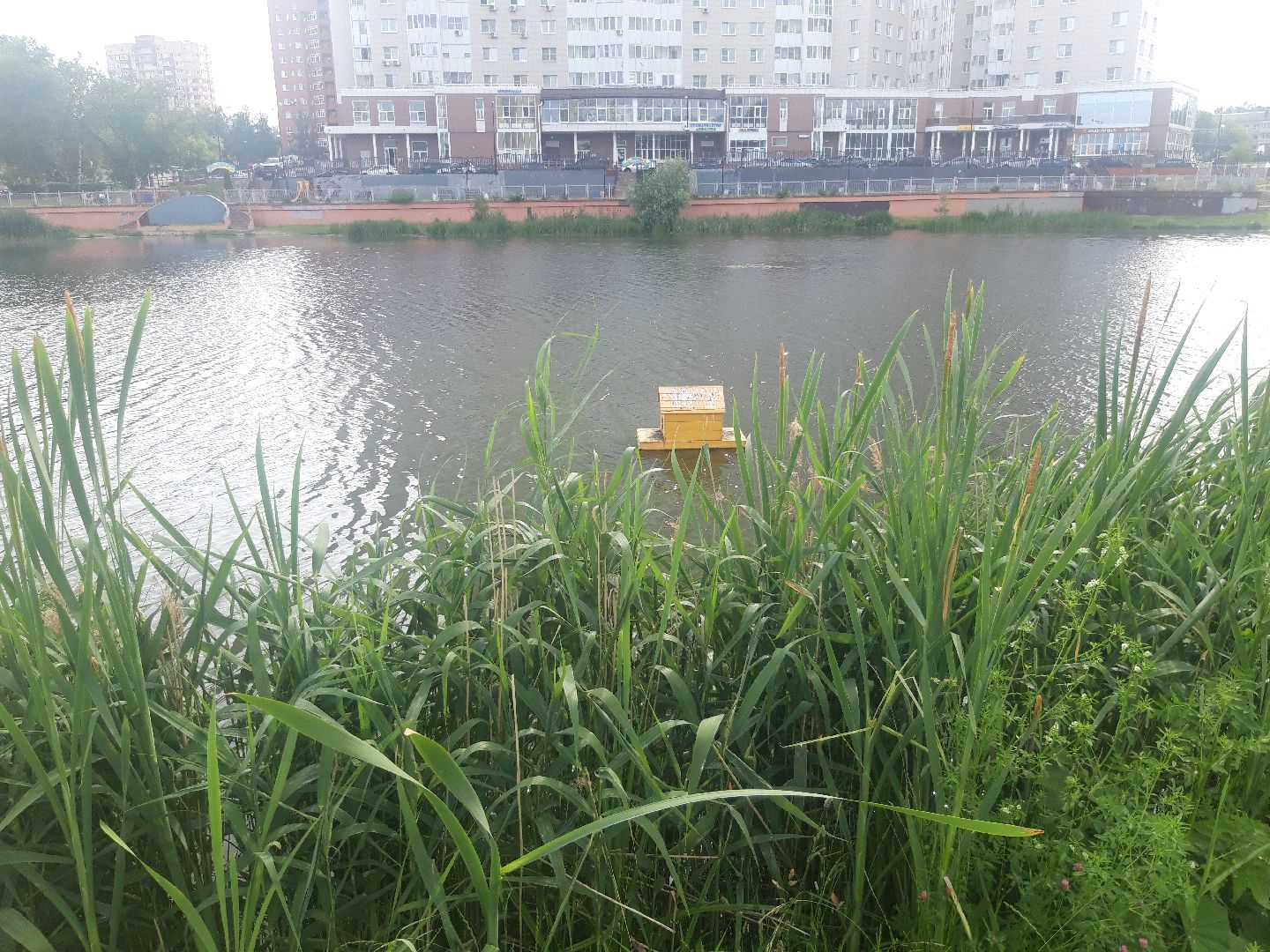 река, доброе дело,