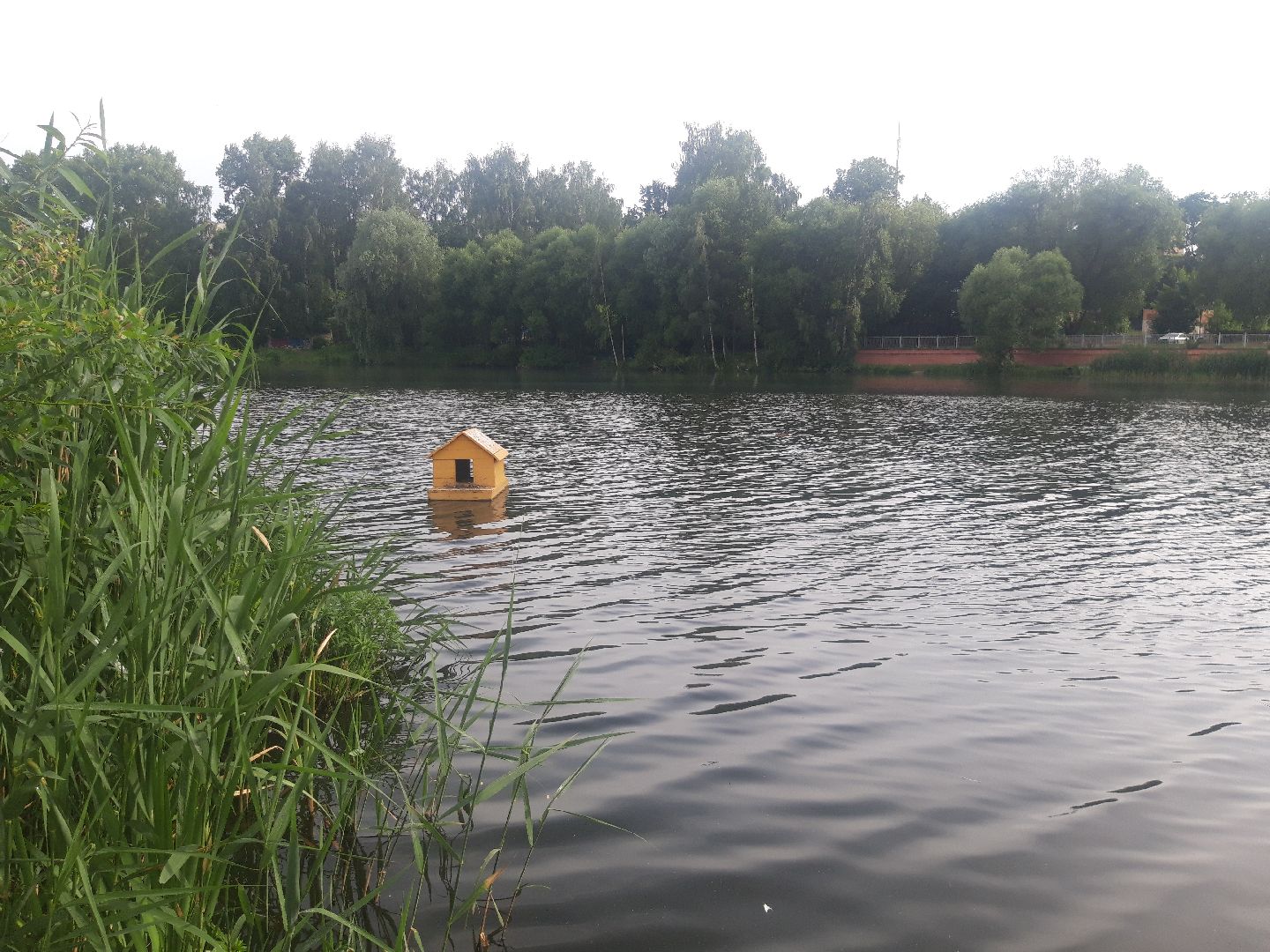 река, доброе дело,