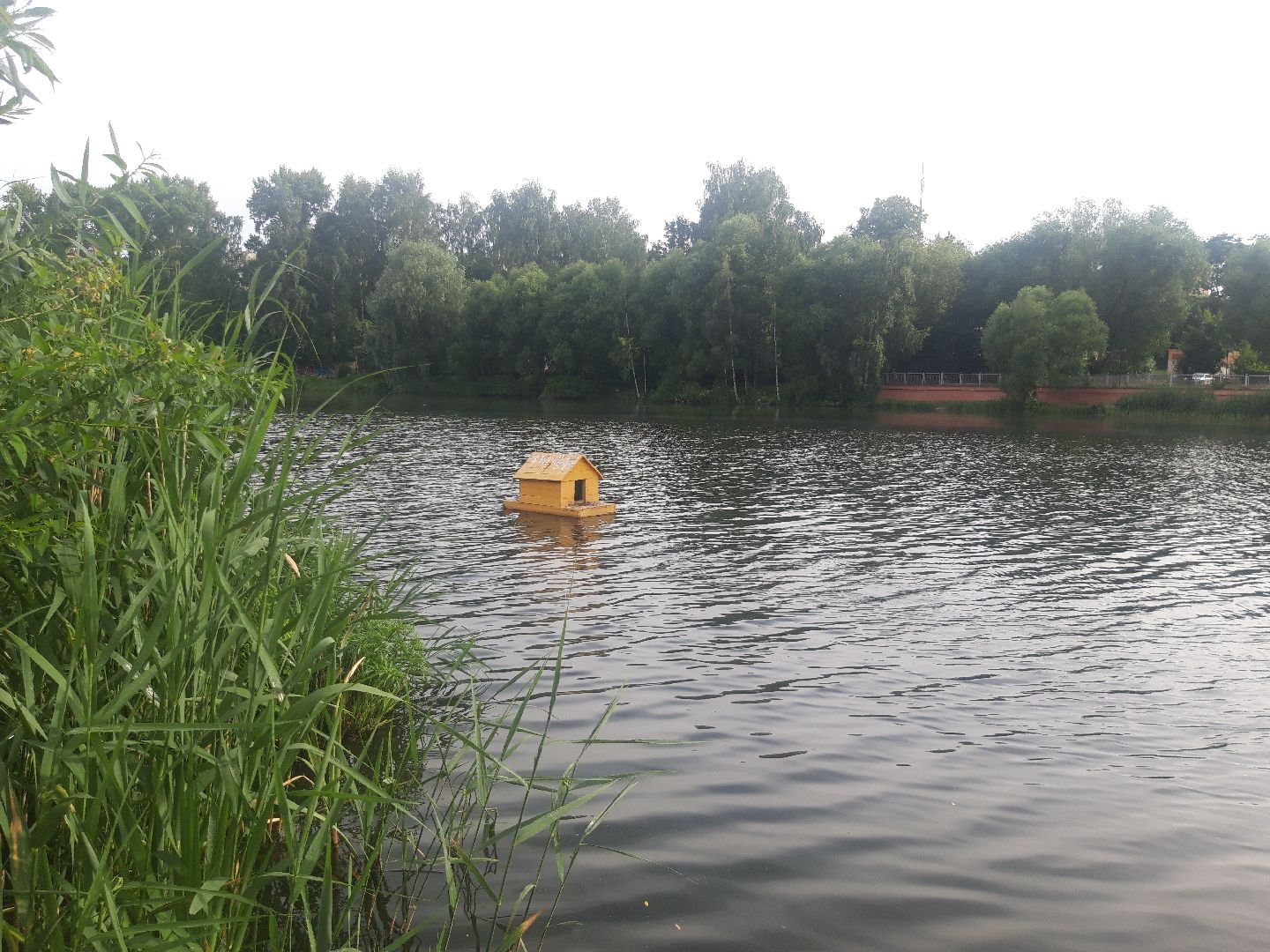 река, доброе дело,