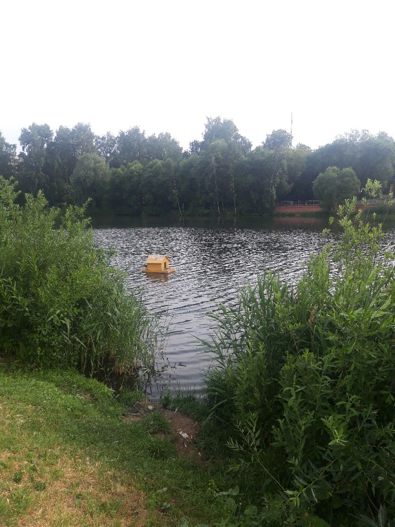 река, доброе дело,