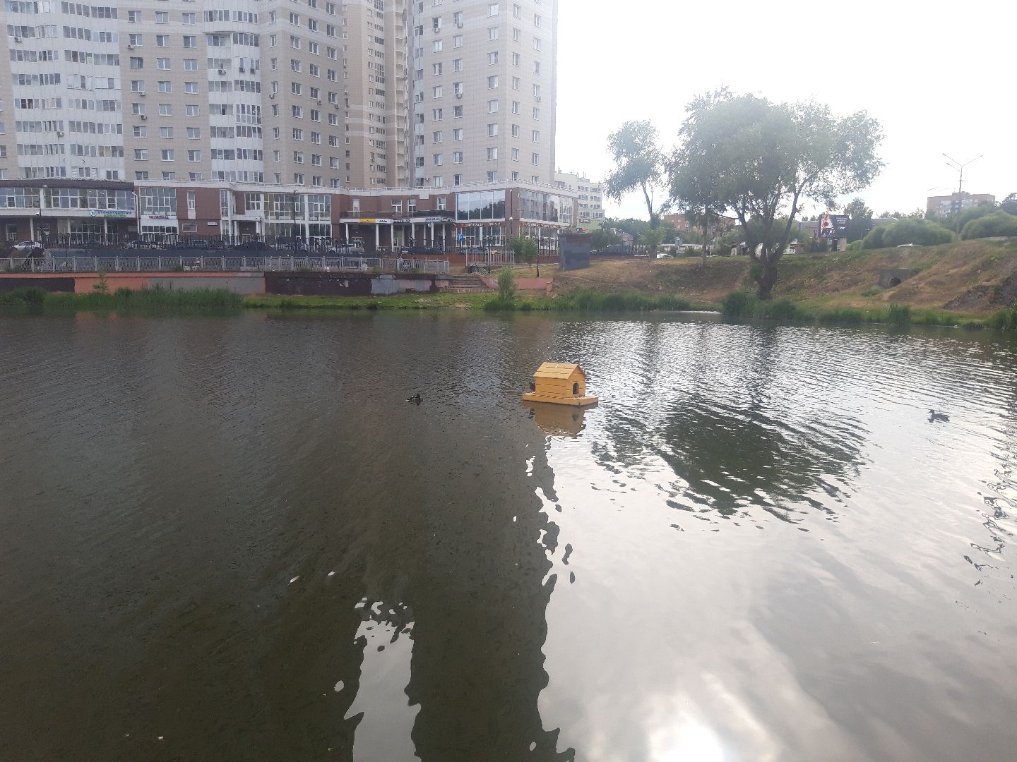 река, доброе дело,