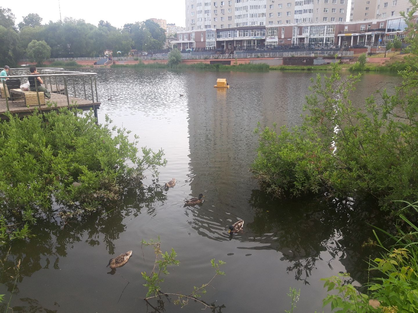 река, доброе дело,