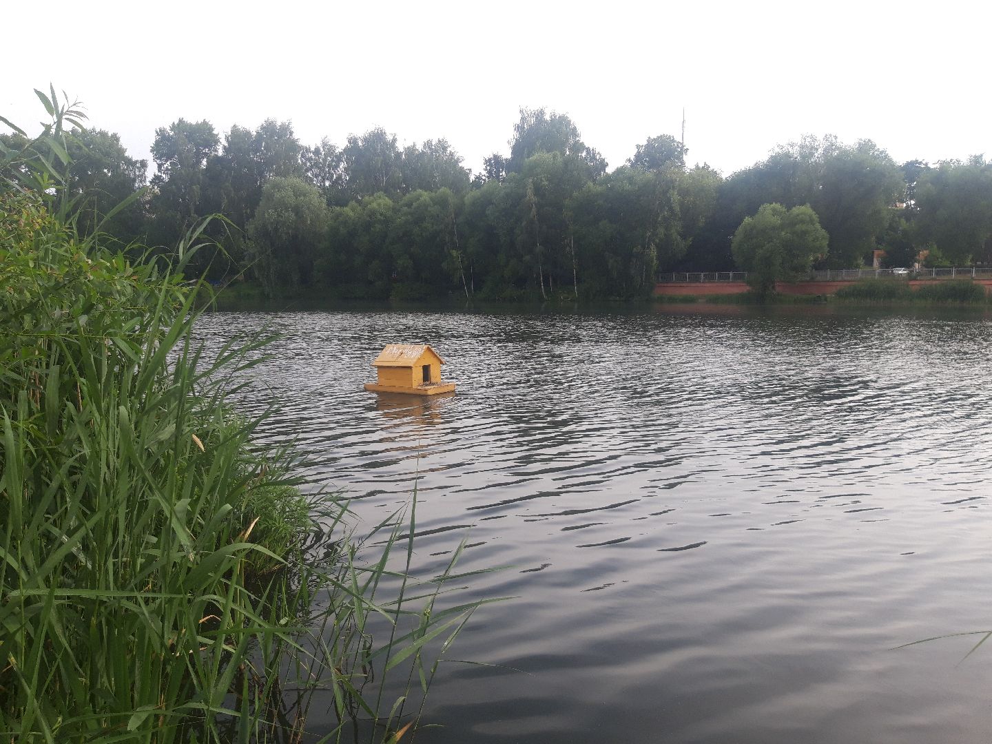 река, доброе дело,