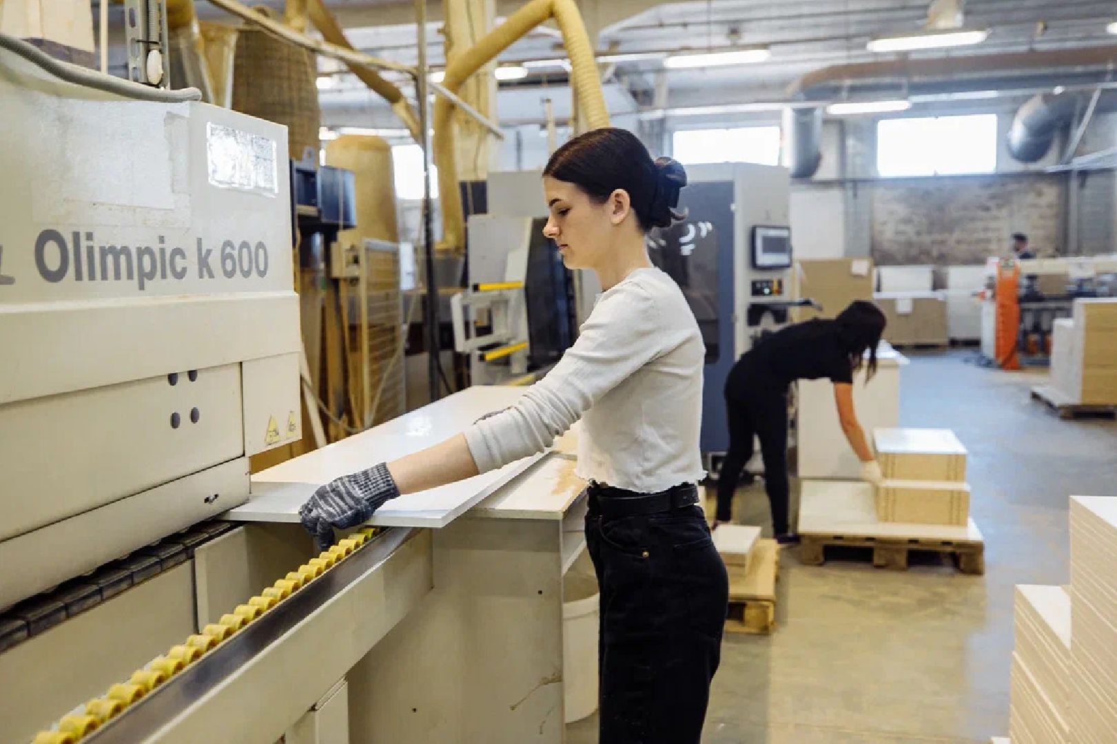 Экономика, мебельное производство, мебель, фабрика, поддержка, губернатор, Орехово-Зуево