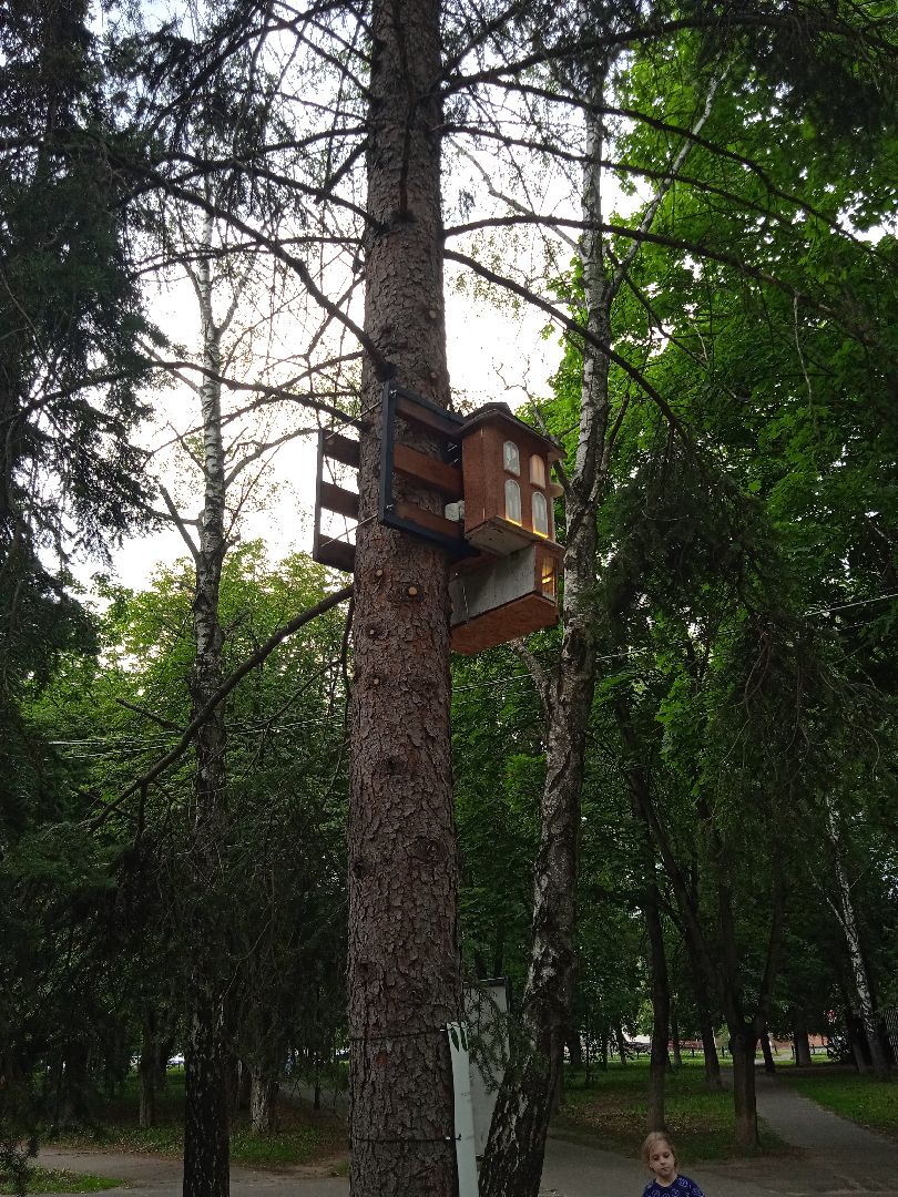 Белочка-парк, интерактивная, кормушка, белки