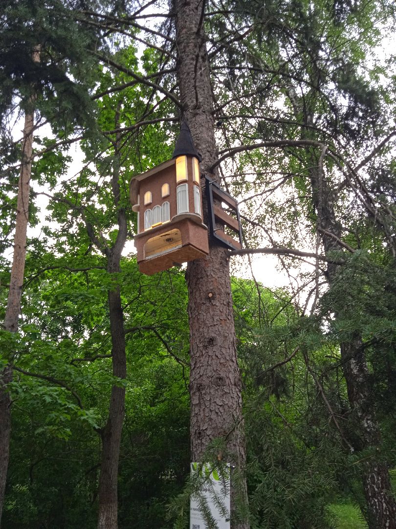 Белочка-парк, интерактивная, кормушка, белки