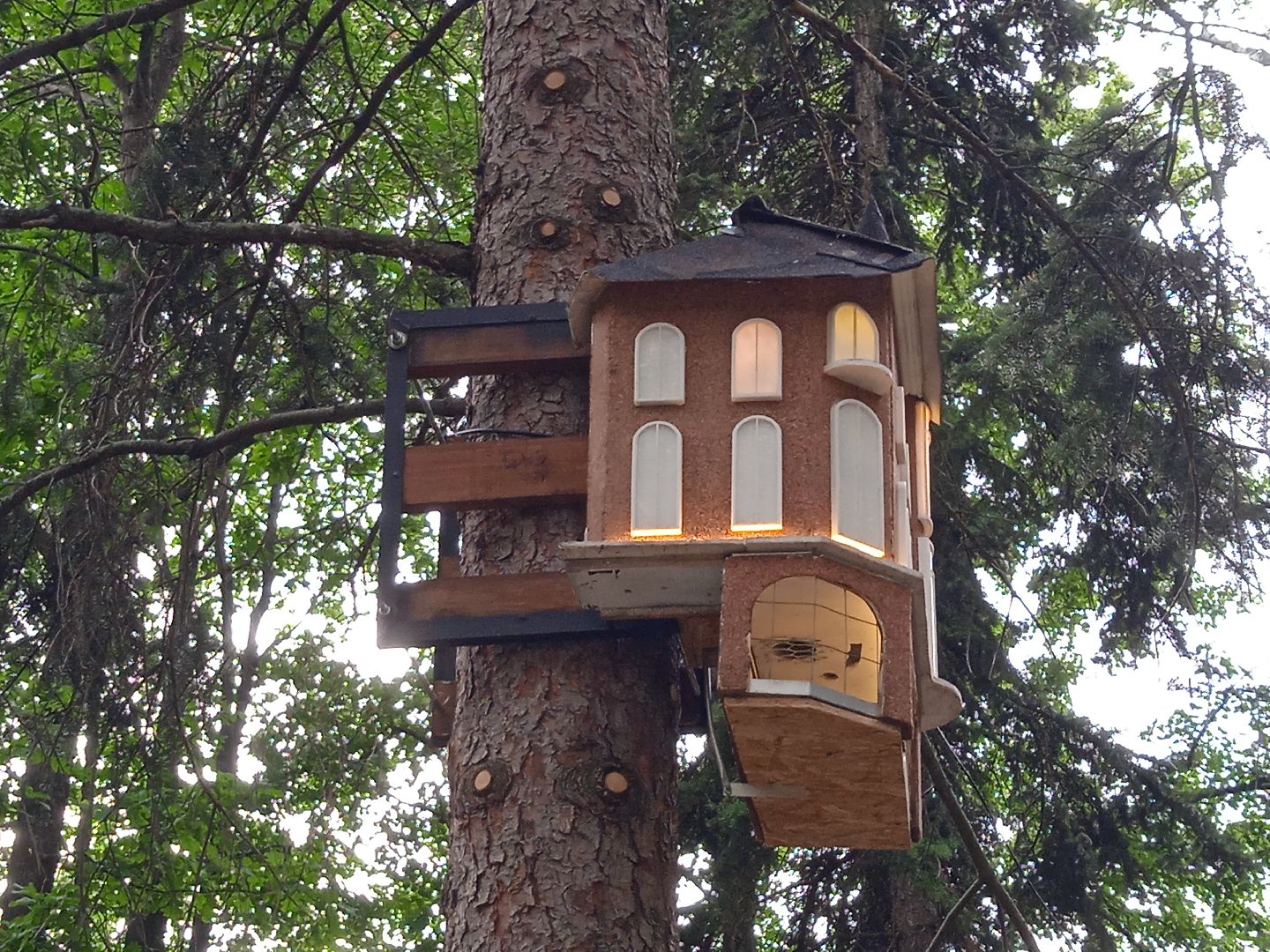 Белочка-парк, интерактивная, кормушка, белки