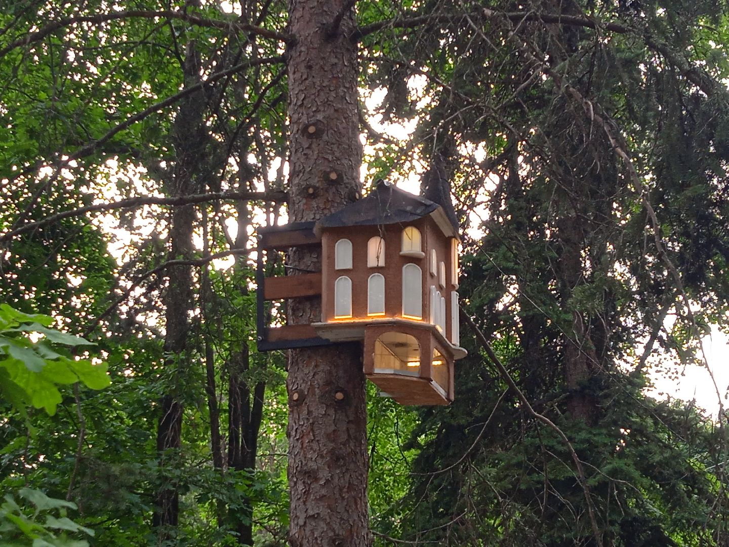 Белочка-парк, интерактивная, кормушка, белки