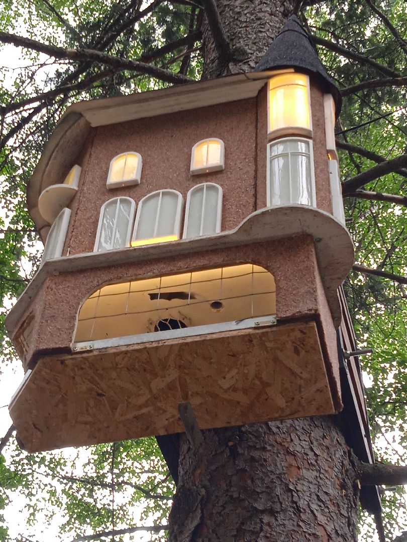 Белочка-парк, интерактивная, кормушка, белки