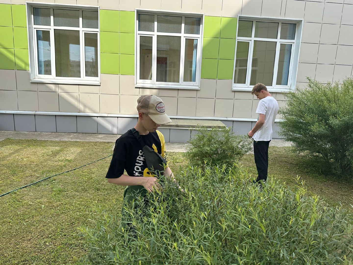 Трудовая смена, школьный лагерь, Наро-Фоминск